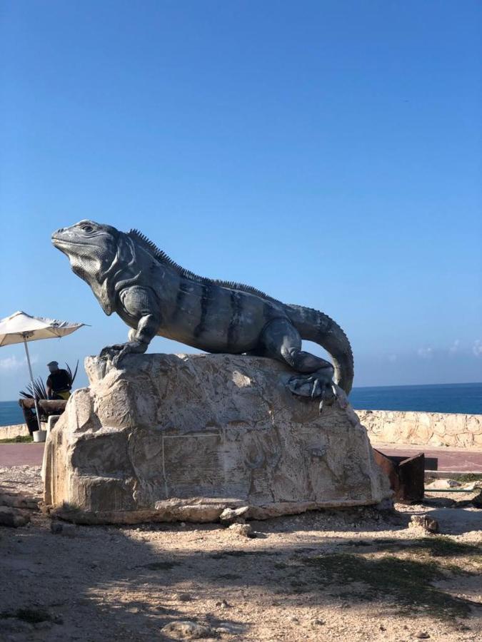 777 Lenderman Hostal 777 Cancún Exteriör bild